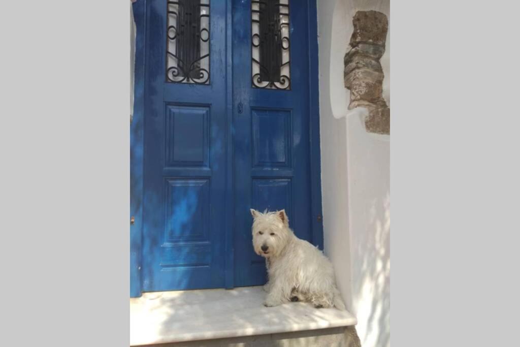 Willa Blue & White: An Absolute Aegean Dream House Galini  Zewnętrze zdjęcie